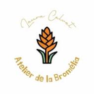 Atelier de la Bromélia
