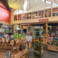 Boutique du Parc - Paléopolis