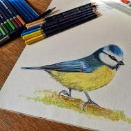 The First Impression