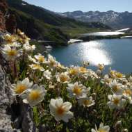 Expo-photo Bernard Grange