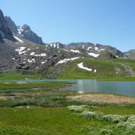 AAPPMA de Valloire - La truite de l'Aiguille Noire