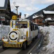 The little train (winter)