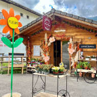 Fleurs d'Aulps