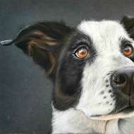 Manon Queffelec - artiste plasticienne