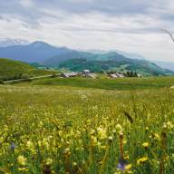 Sentier de randonnée - Le Tour de Miribel depuis Plaine Joux