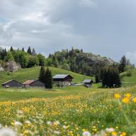 Sentier de randonnée - Boucle du plateau de Plaine Joux