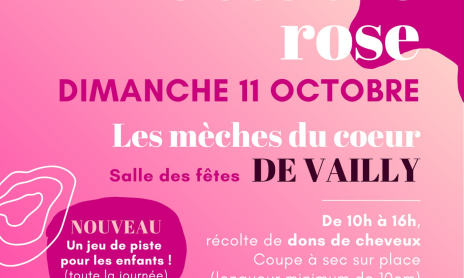 Octobre Rose - Les Mèches du Cœur