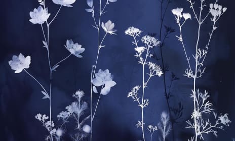 Journées Européennes du Patrimoine - Station patrimoine : Jardins en cyan