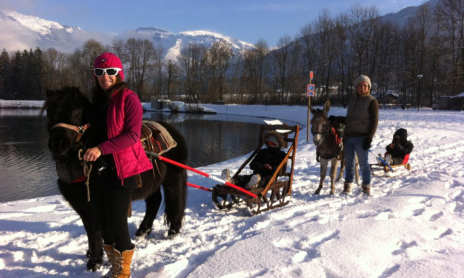 Pony-drawn sleigh ride