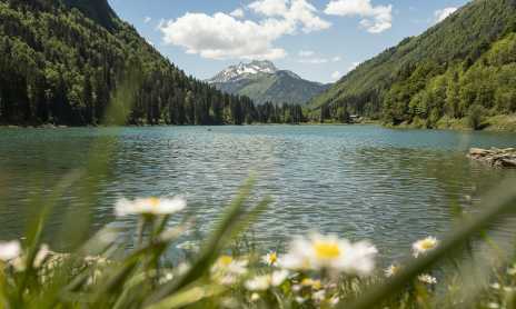 Walking trail: from the center of Montriond to the lake