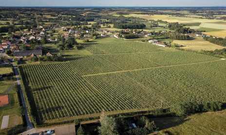 Immersion au Clos de Breuilly - Visite du domaine et dégustation commentée des vins