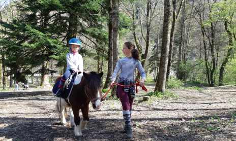 Tours à poney