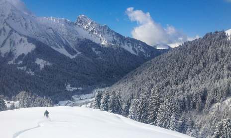 Freeride ski avec le bureau des guides