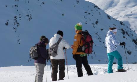 Snowshoes "Flying in altitude to discover the summits"