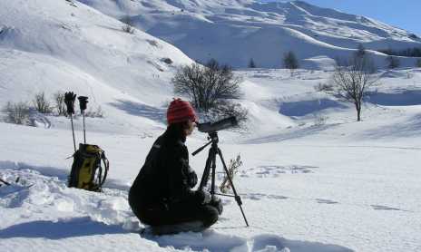 Snowshoes "Discoveries and gourmet snacks ... In the sun!"