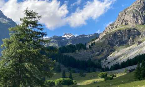 Au cœur du parc de la Vanoise