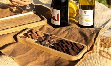 Atelier vin et chocolat  - Terres de Syrah
