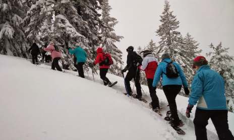 Team building - Rando raquettes