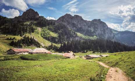 Bise summer farm