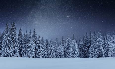 Snowshoeing - Evening in a refuge