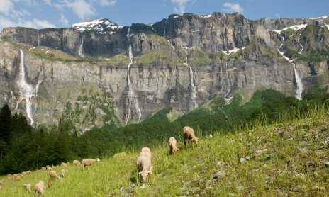 Les 30 Cascades du Cirque du Fer à Cheval