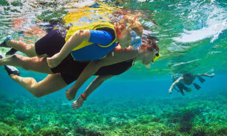 Snorkelling with Lecques Aquanaut Center