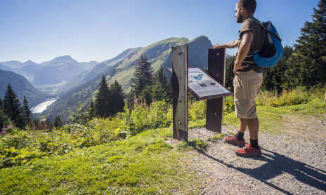 Bassachaux pass