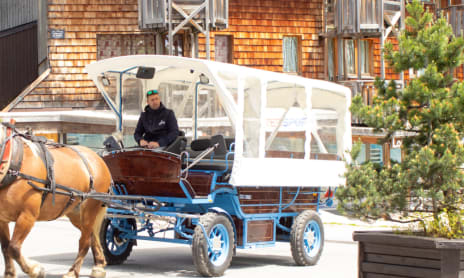 Electric carriage transport