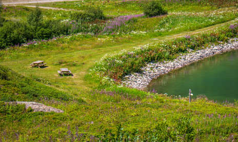 Aire de pique-nique Lac de Vernant