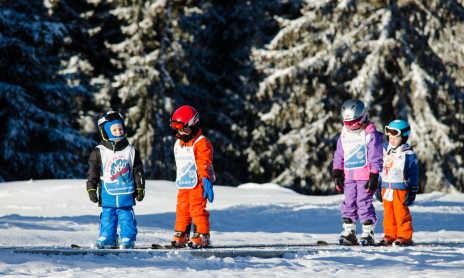 Cours particuliers de ski, snowboard, télémark.