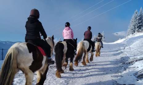 Balade à cheval sur neige