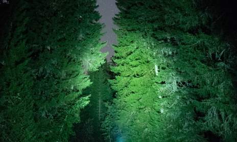 Randonnée nocturne :  Conte moi la nuit