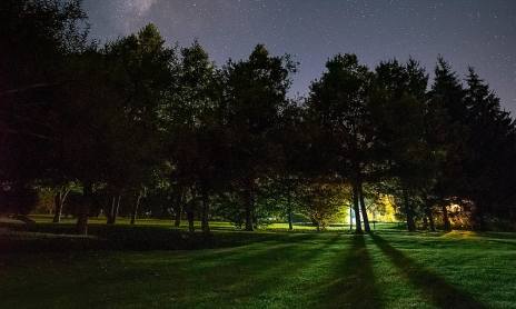 Soirée d’observation du ciel d’été : les Perséïdes