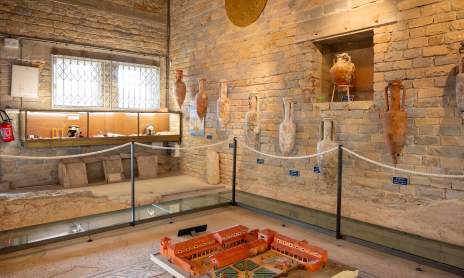 Musée Gallo-Romain de Tauroentum