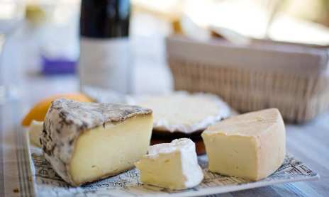 Dégustation Vins & Fromages - Terres de Syrah