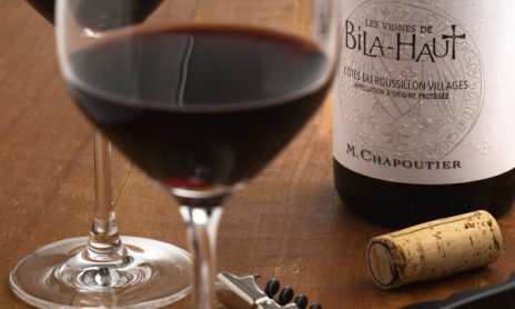 Atelier Découverte " Rhône & Roussillon" - M.CHAPOUTIER
