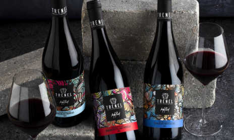 Atelier Découverte "Rhône & Beaujolais " - M.CHAPOUTIER