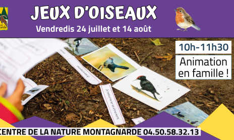 Enquêtes biodiversité : Jeux d'oiseaux