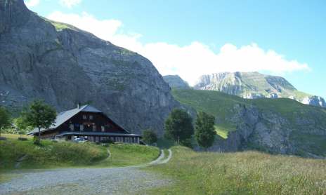 Hiking Trail: Mayères forest trail from Burzier