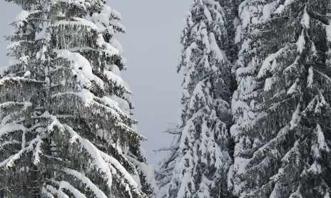 Lassare (+ variante raquettes) hiver