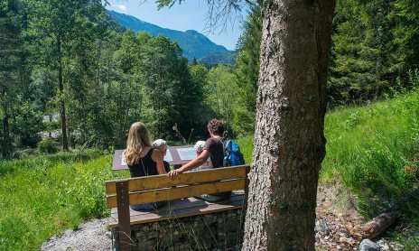 Randocroquis® de la Forêt ivre