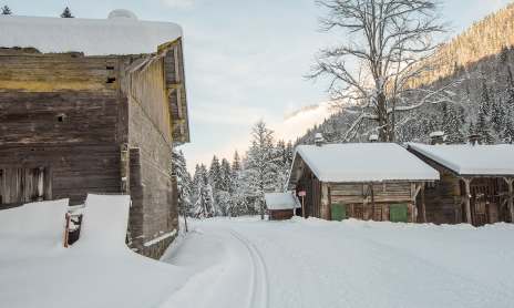 Ski de fond à Montriond