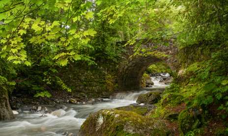 Pont des Nants loop via forest road - footpath