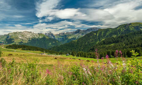 Walking itinerary: mountain walks, by gondola, to Samoëns 1600