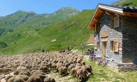 Sentier vers le "Refuge de Plan Lombardie"