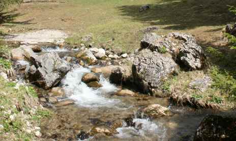 The Abray trail