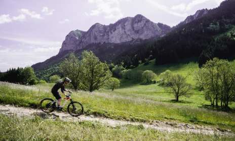 Circuit n°7 La Grande Forêt - VTT FFC pays d'Evian balcon du Léman