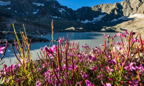 Lakes and Arsine pass from Arsine