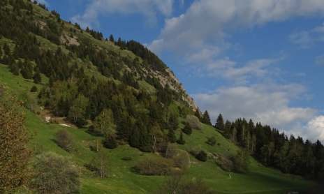 Rando trail - n°5 Blue - The rise of Alpe