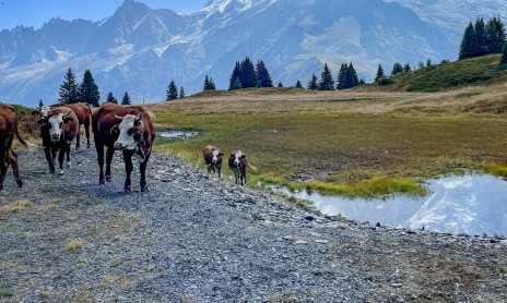 Le Tour de la Tête de Charme au départ du col de Voza
